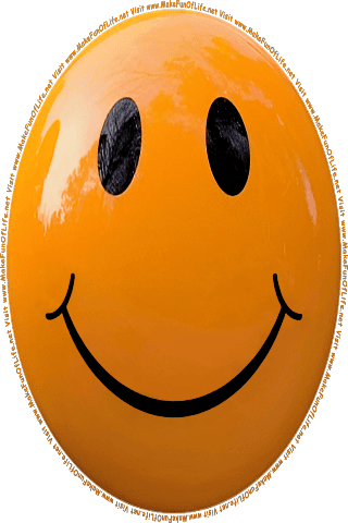 Picture of a brown 60 color cartoon smiley face, and the words, Visit www.MakeFunOfLife.net.