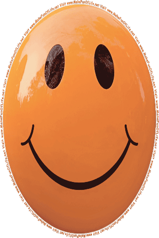 Picture of a brown 80 color cartoon smiley face, and the words, Visit www.MakeFunOfLife.net.