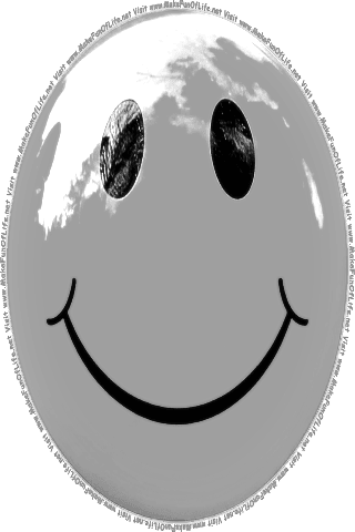 Picture of a gray 100] color cartoon smiley face, and the words, Visit www.MakeFunOfLife.net.