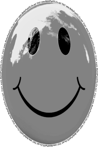 Picture of a gray 120 color cartoon smiley face, and the words, Visit www.MakeFunOfLife.net.