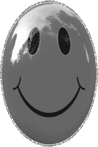 Picture of a gray 160 color cartoon smiley face, and the words, Visit www.MakeFunOfLife.net.