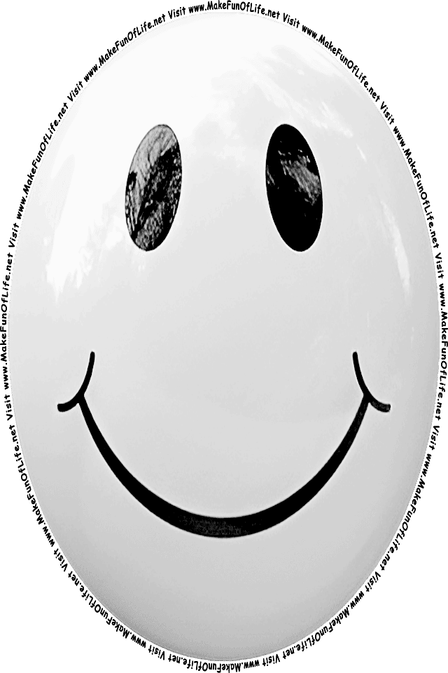 Picture of a gray 1 smiley face, and the words, Visit www.MakeFunOfLife.net.