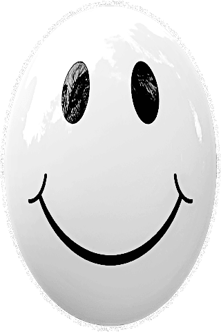 Picture of a gray 20 color cartoon smiley face, and the words, Visit www.MakeFunOfLife.net.