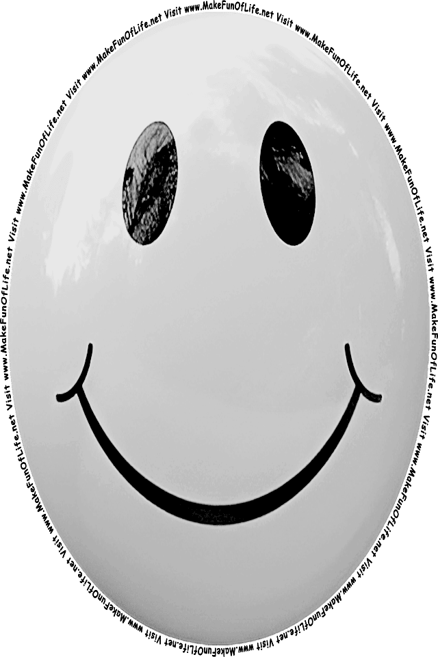 Picture of a gray 2 smiley face, and the words, Visit www.MakeFunOfLife.net.