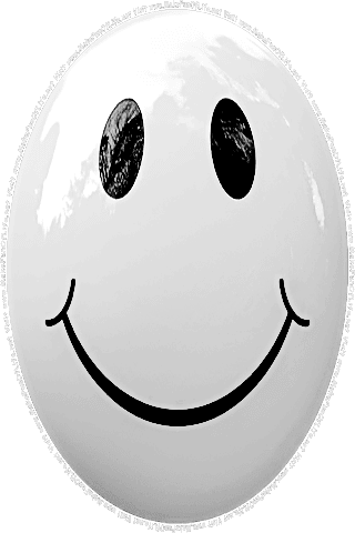 Picture of a brown 80 color cartoon smiley face, and the words, Visit www.MakeFunOfLife.net.