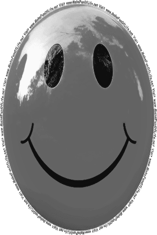 Picture of a gray 470 color cartoon smiley face, and the words, Visit www.MakeFunOfLife.net.