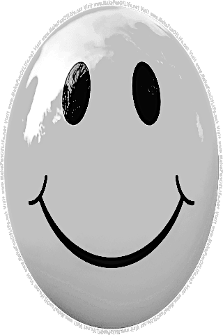 Picture of a gray 60 color cartoon smiley face, and the words, Visit www.MakeFunOfLife.net.