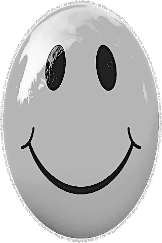 Picture of a gray 80 color cartoon smiley face, and the words, Visit www.MakeFunOfLife.net.