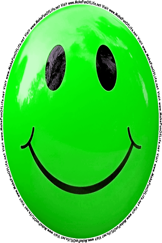 Picture of a green 10 smiley face, and the words, Visit www.MakeFunOfLife.net.