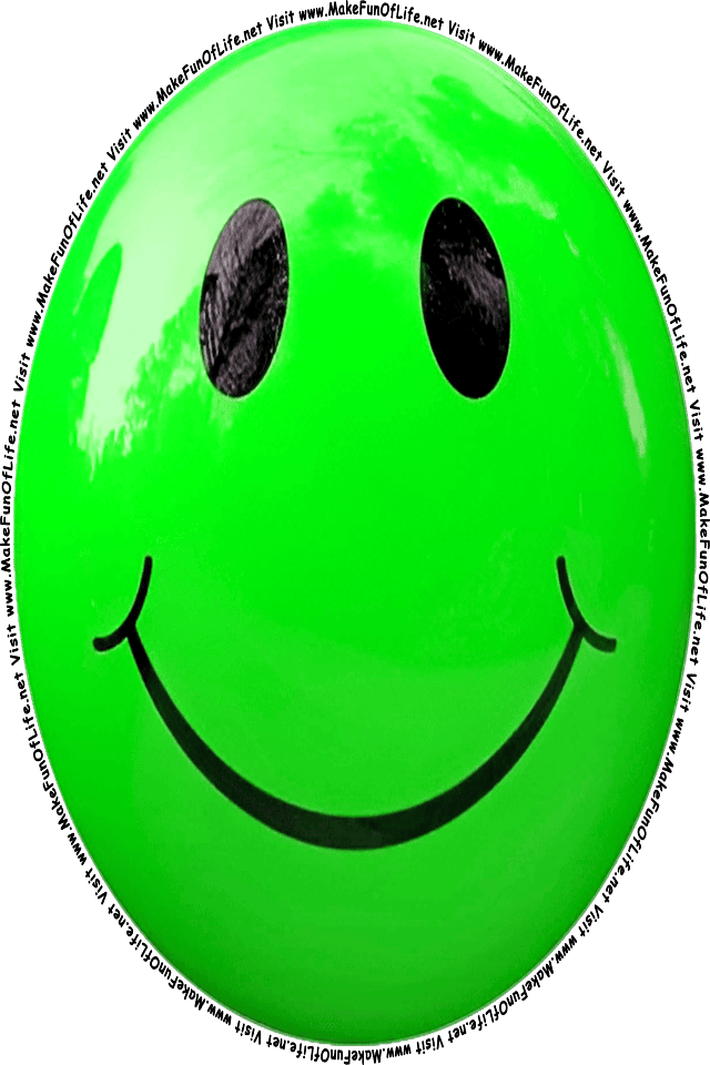 Picture of a Green 11 smiley face, and the words, Visit www.MakeFunOfLife.net.