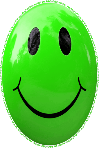Picture of a green 120] color cartoon smiley face, and the words, Visit www.MakeFunOfLife.net.