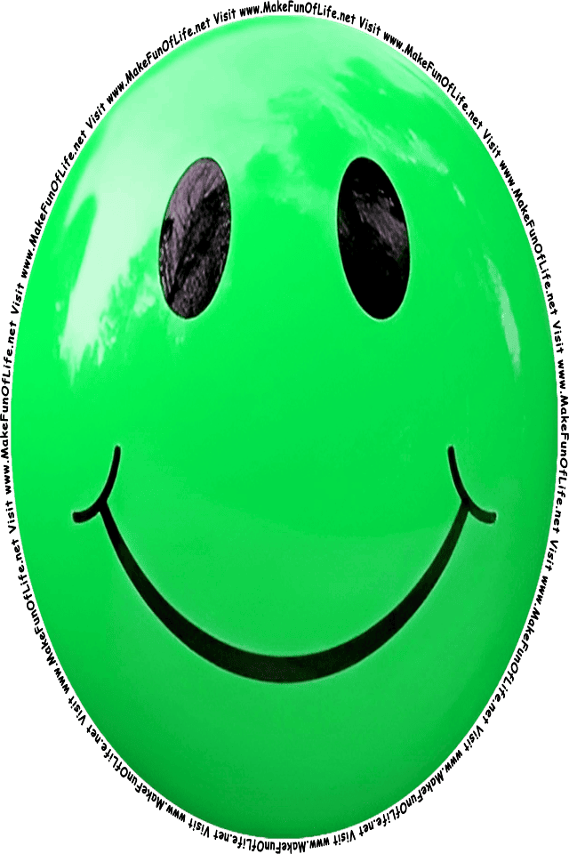 Picture of a Green 12 smiley face, and the words, Visit www.MakeFunOfLife.net.