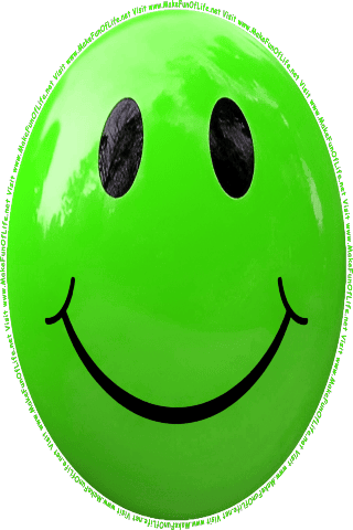Picture of a green 140 color cartoon smiley face, and the words, Visit www.MakeFunOfLife.net.