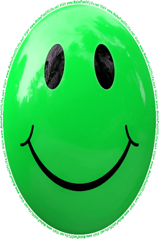 Picture of a green 160 color cartoon smiley face, and the words, Visit www.MakeFunOfLife.net.