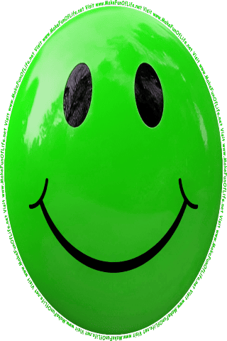 Picture of a green 180 color cartoon smiley face, and the words, Visit www.MakeFunOfLife.net.