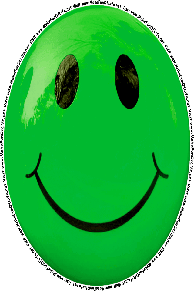 Picture of a green 1 smiley face, and the words, Visit www.MakeFunOfLife.net.