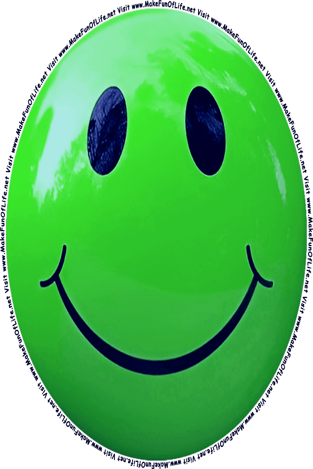 Picture of a green 2 smiley face, and the words, Visit www.MakeFunOfLife.net.
