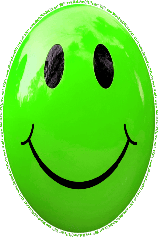 Picture of a green 310 color cartoon smiley face, and the words, Visit www.MakeFunOfLife.net.