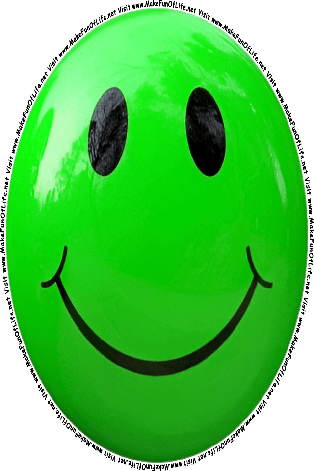 Picture of a green 3 smiley face, and the words, Visit www.MakeFunOfLife.net.