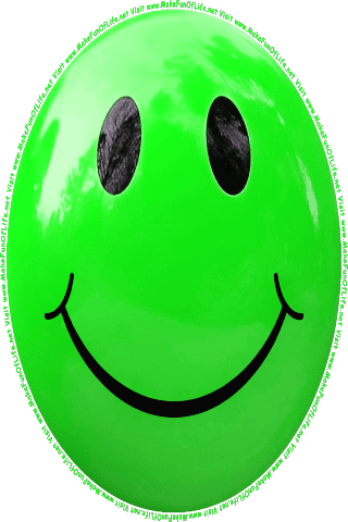 Picture of a green 40 color cartoon smiley face, and the words, Visit www.MakeFunOfLife.net.