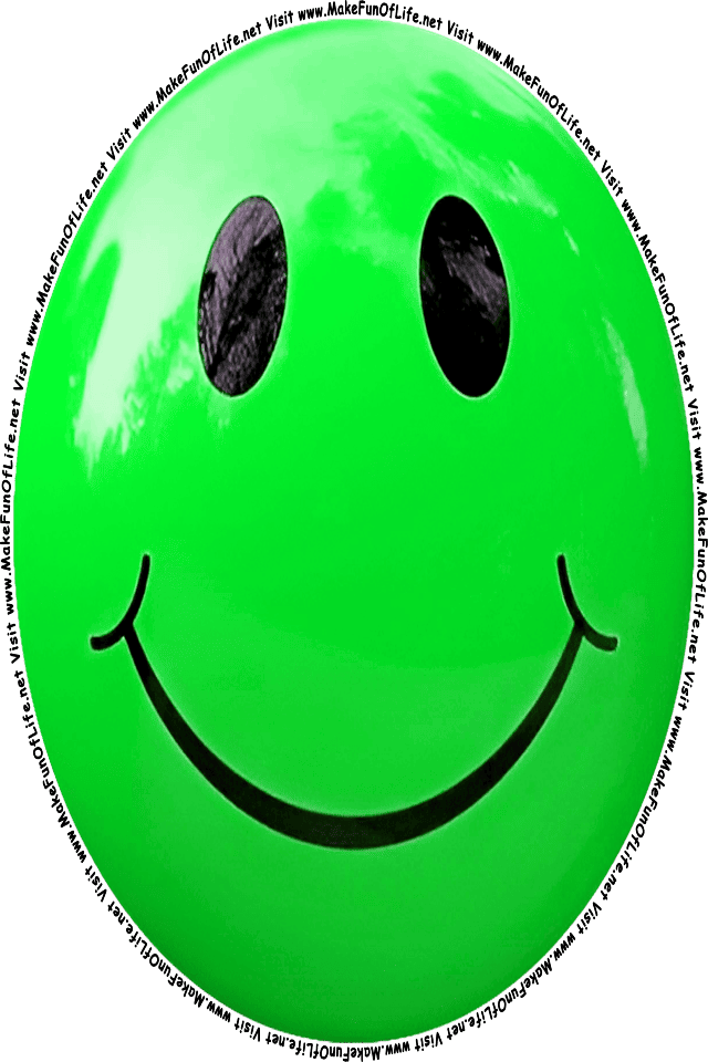 Picture of a green 4 smiley face, and the words, Visit www.MakeFunOfLife.net.
