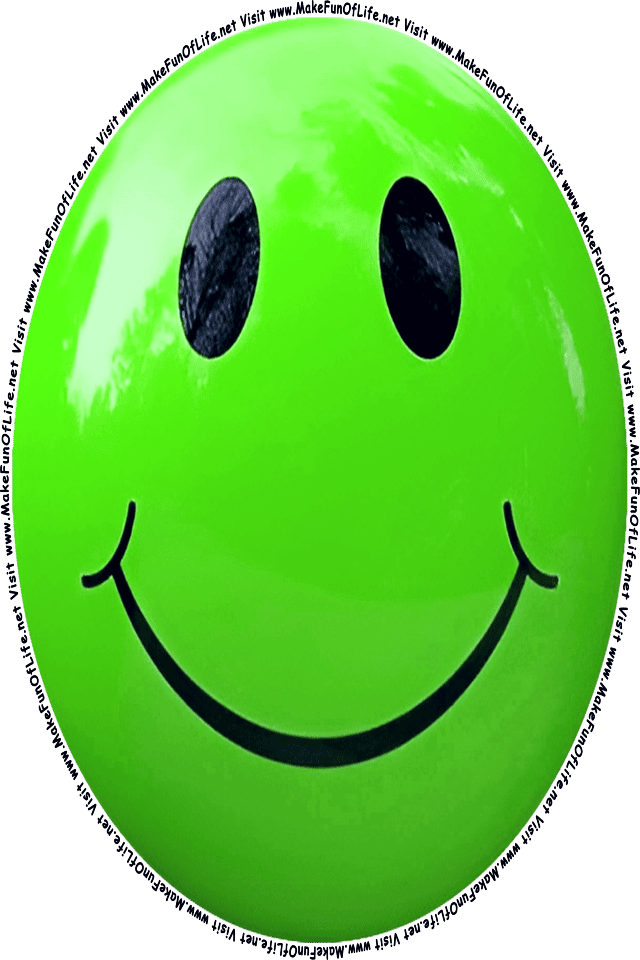 Picture of a green 5 smiley face, and the words, Visit www.MakeFunOfLife.net.