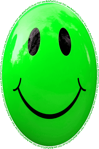 Picture of a green 60 color cartoon smiley face, and the words, Visit www.MakeFunOfLife.net.