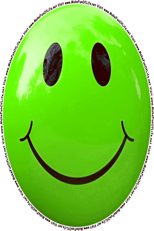 Picture of a green 6 smiley face, and the words, Visit www.MakeFunOfLife.net.