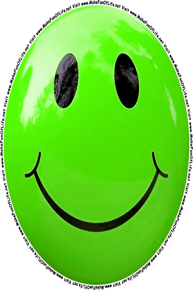 Picture of a green 7 smiley face, and the words, Visit www.MakeFunOfLife.net.