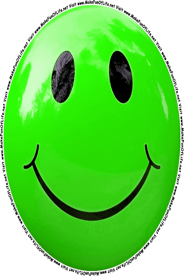 Picture of a green 8 smiley face, and the words, Visit www.MakeFunOfLife.net.