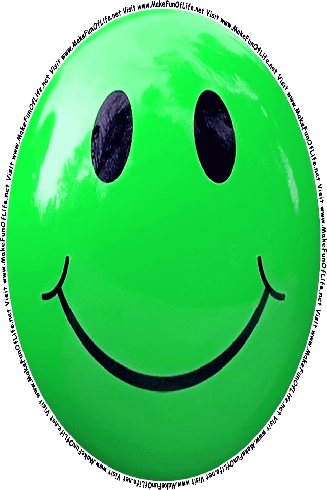 Picture of a green 9] smiley face, and the words, Visit www.MakeFunOfLife.net.