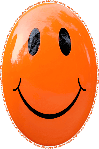 Picture of an orange 100  color cartoon smiley face, and the words, Visit www.MakeFunOfLife.net.