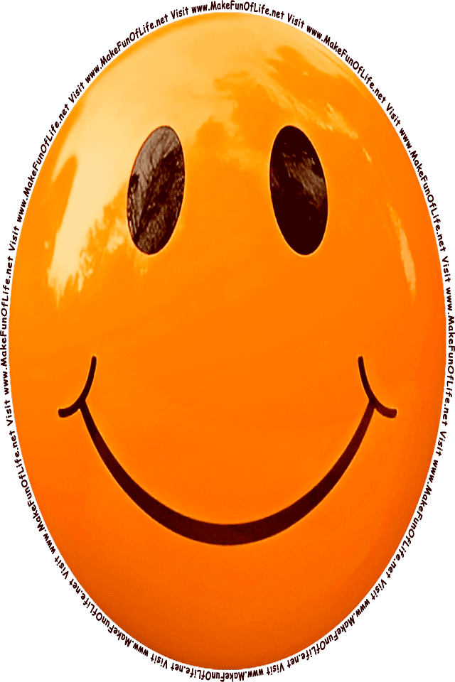 Picture of an Orange 10 smiley face, and the words, Visit www.MakeFunOfLife.net.