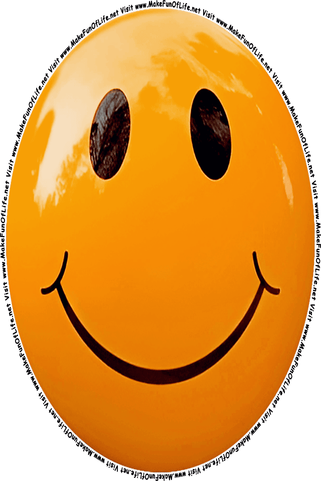 Picture of an Orange 11 smiley face, and the words, Visit www.MakeFunOfLife.net.