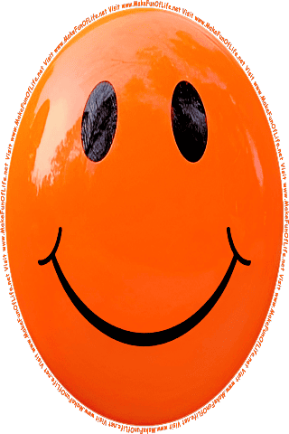 Picture of an orange 120 color cartoon smiley face, and the words, Visit www.MakeFunOfLife.net.