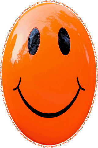 Picture of an orange 120 color cartoon smiley face, and the words, Visit www.MakeFunOfLife.net.