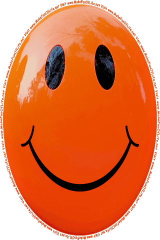Picture of an orange 180 color cartoon smiley face, and the words, Visit www.MakeFunOfLife.net.