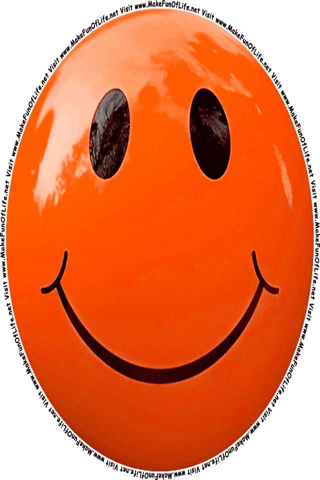 Picture of an orange 1 smiley face, and the words, Visit www.MakeFunOfLife.net.