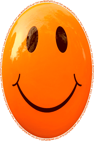 Picture of an orange 20 color cartoon smiley face, and the words, Visit www.MakeFunOfLife.net.