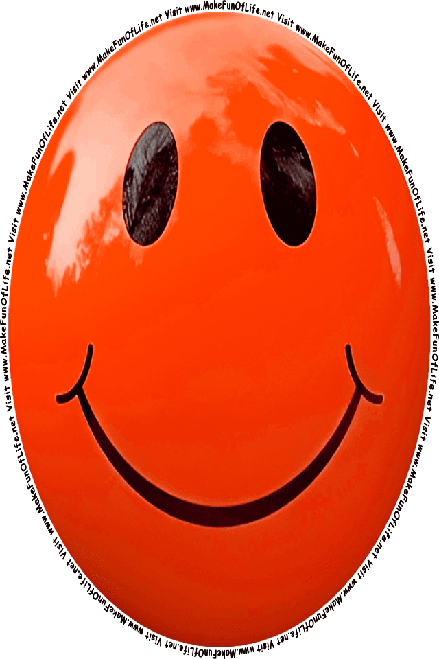 Picture of an orange 2 smiley face, and the words, Visit www.MakeFunOfLife.net.