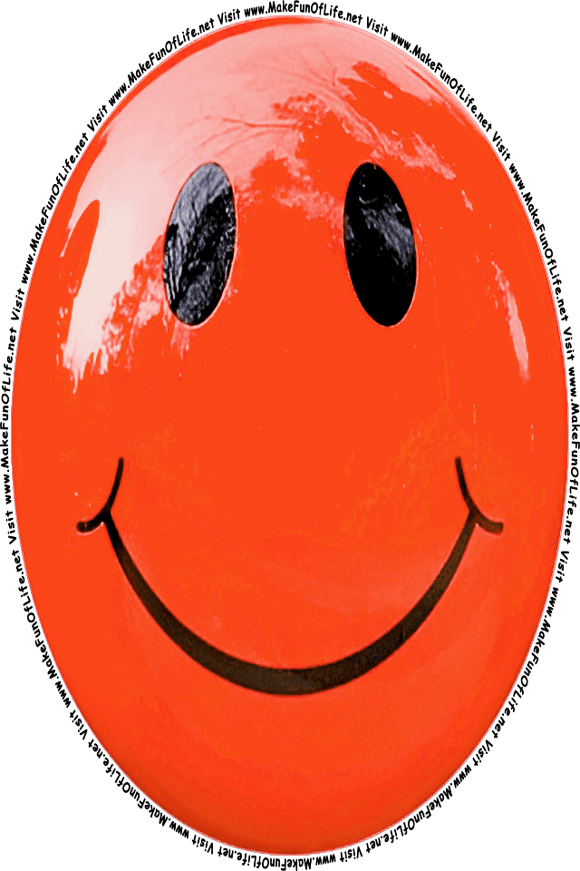 Picture of a orange 3 smiley face, and the words, Visit www.MakeFunOfLife.net.