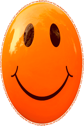 Picture of an orange 40 color cartoon smiley face, and the words, Visit www.MakeFunOfLife.net.