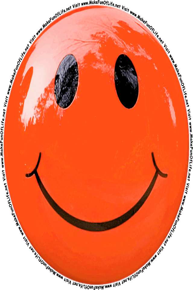 Picture of an orange 4 smiley face, and the words, Visit www.MakeFunOfLife.net.