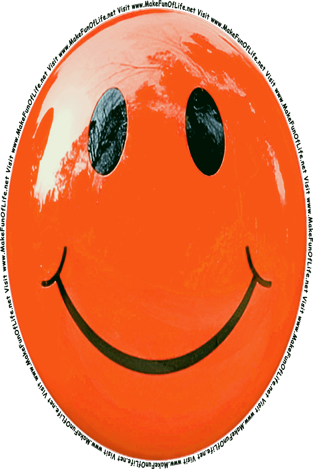 Picture of an orange 5 smiley face, and the words, Visit www.MakeFunOfLife.net.