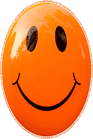 Picture of an orange 60 color cartoon smiley face, and the words, Visit www.MakeFunOfLife.net.
