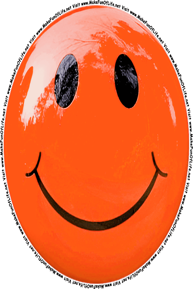 Picture of an orange 6 smiley face, and the words, Visit www.MakeFunOfLife.net.