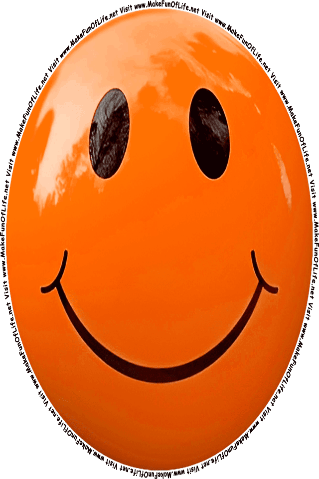 Picture of an orange 7 smiley face, and the words, Visit www.MakeFunOfLife.net.