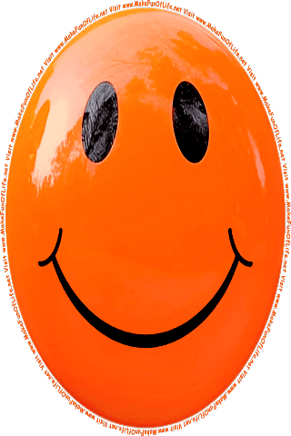 Picture of an orange 80 color cartoon smiley face, and the words, Visit www.MakeFunOfLife.net.