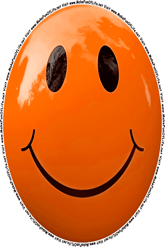 Picture of an  orange  smiley face, and the words, Visit www.MakeFunOfLife.net.