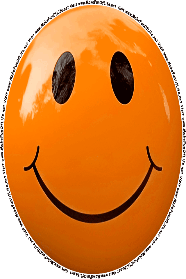 Picture of an orange smiley face, and the words, Visit www.MakeFunOfLife.net.